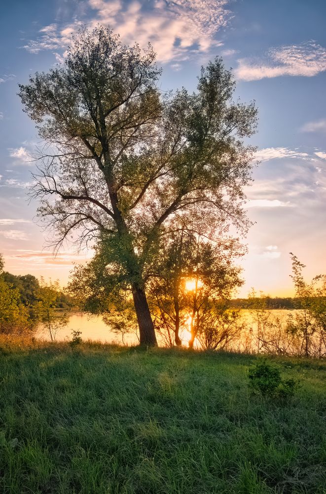 Photograph by Дудников Александр