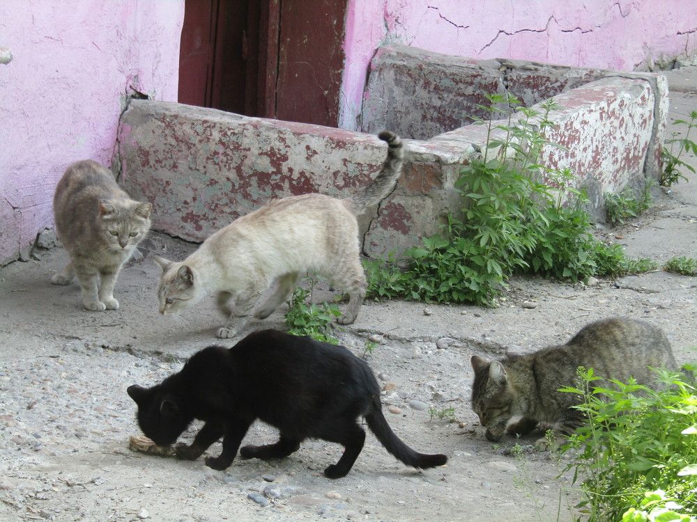 Photograph by Нурлан Кушкунов