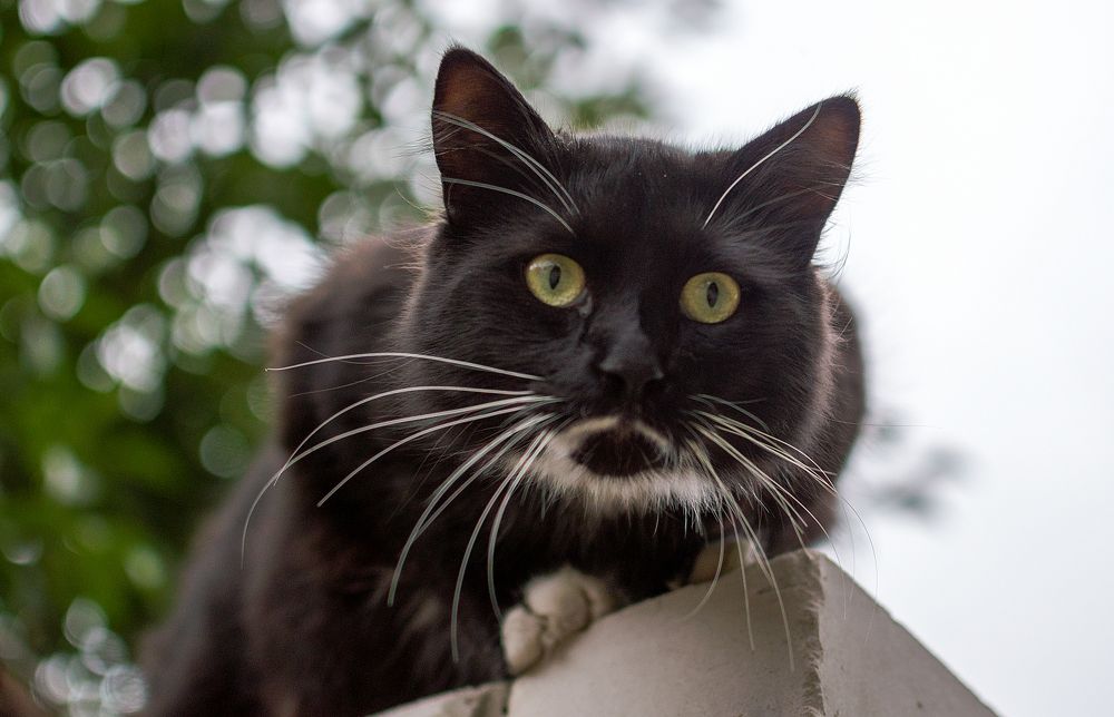 Photograph by Светлана Мельник