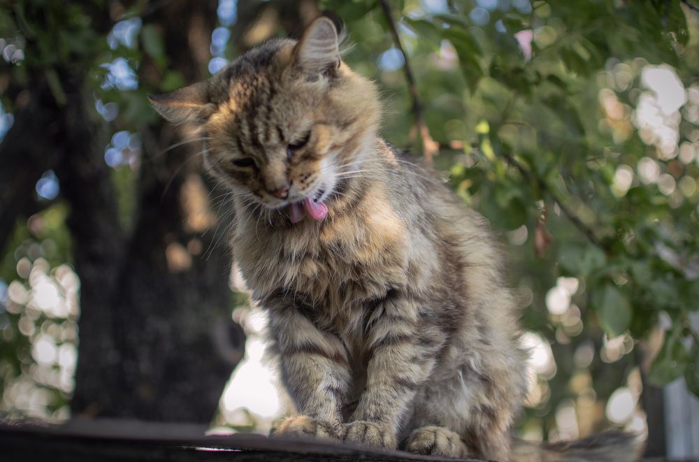 Photograph by Светлана Мельник