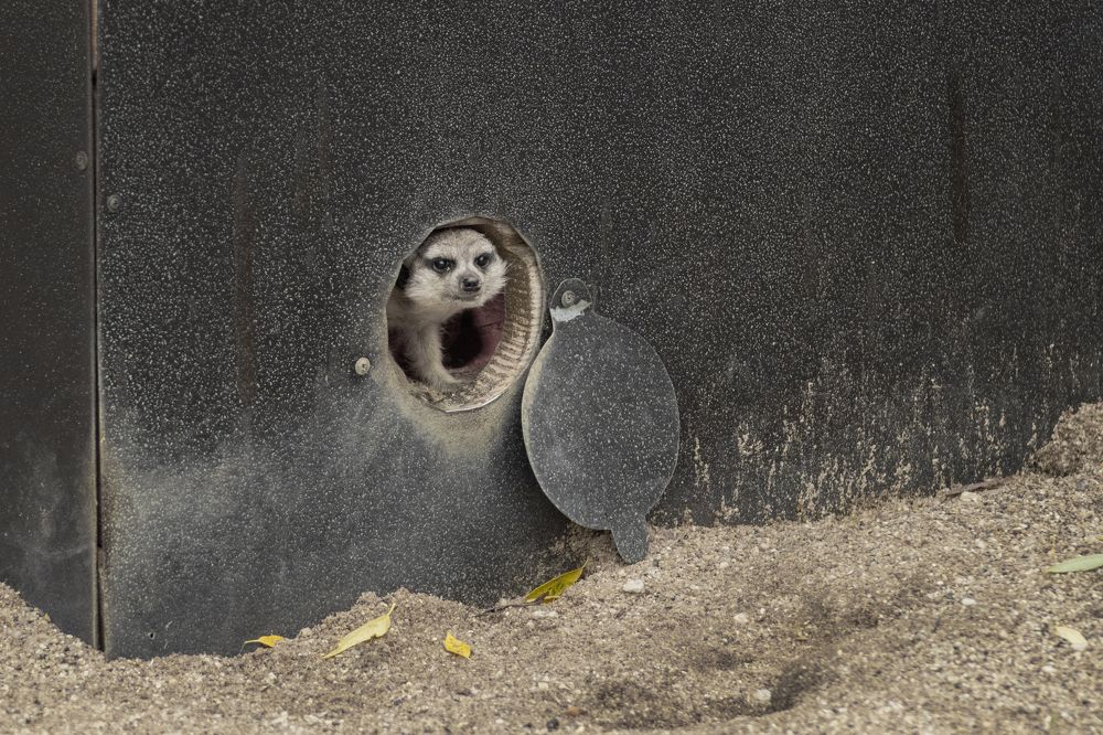 Photograph by Светлана Тарханова