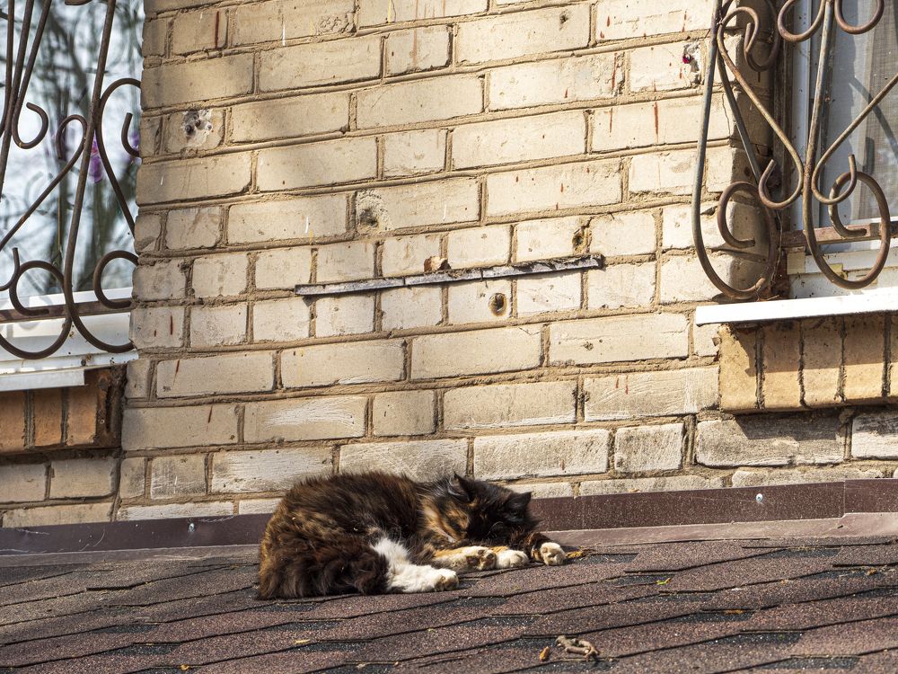 Photograph by Надежда Михайлина