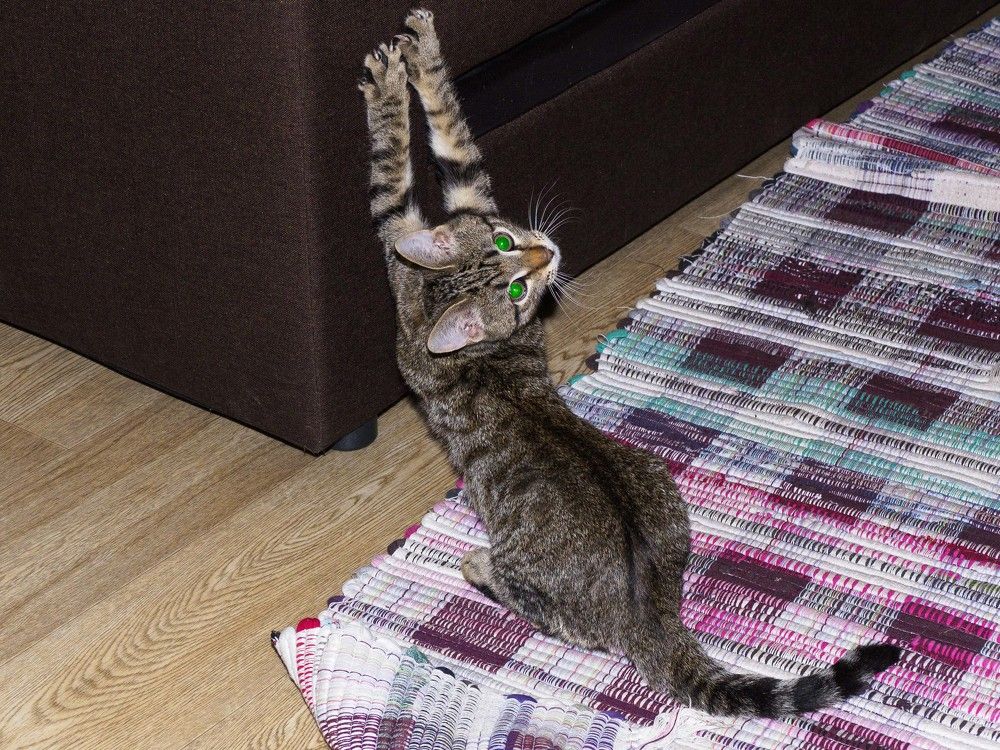 Photograph by Борис