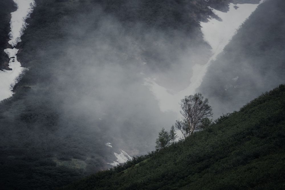 Photograph by Svetlana