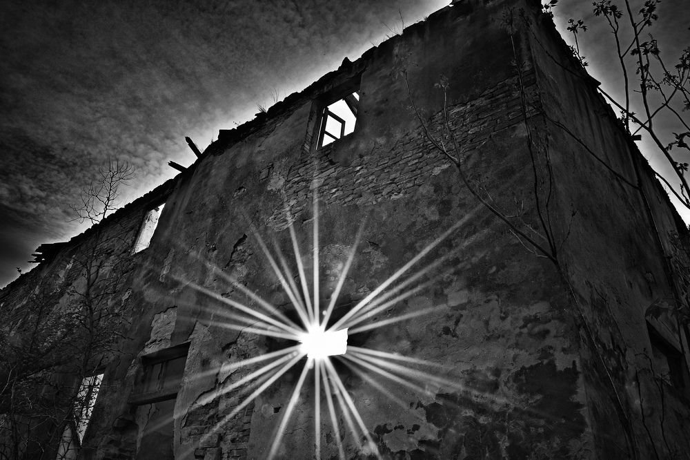 Photograph by Tripodi Stefano