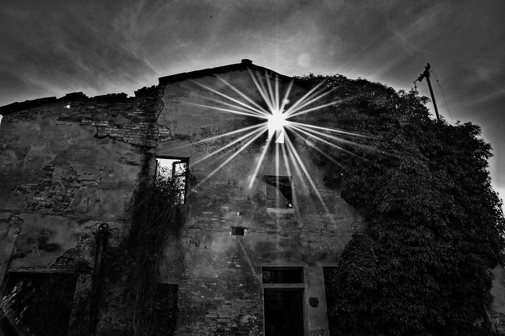 Photograph by Tripodi Stefano