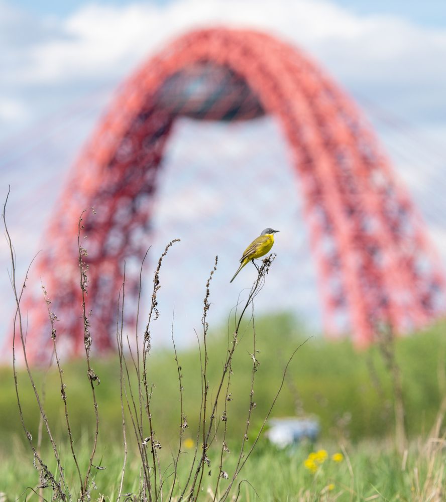 Photograph by Артем Кузнецов