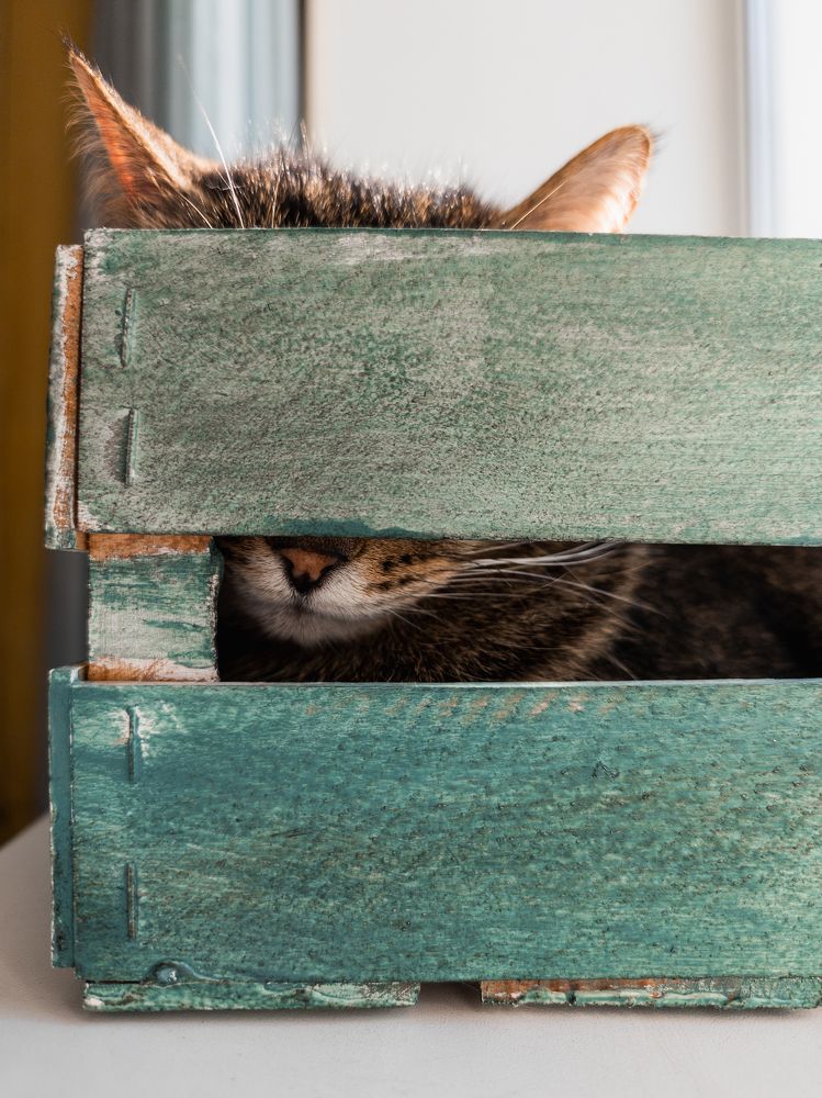 Photograph by Константин Пешков