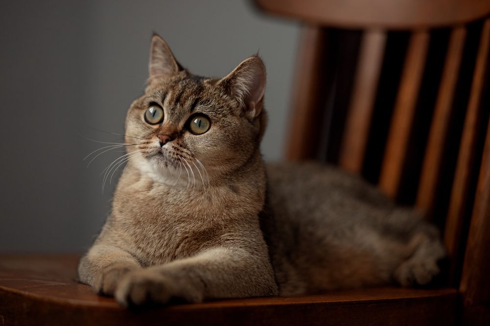 Photograph by Алла Аюпова