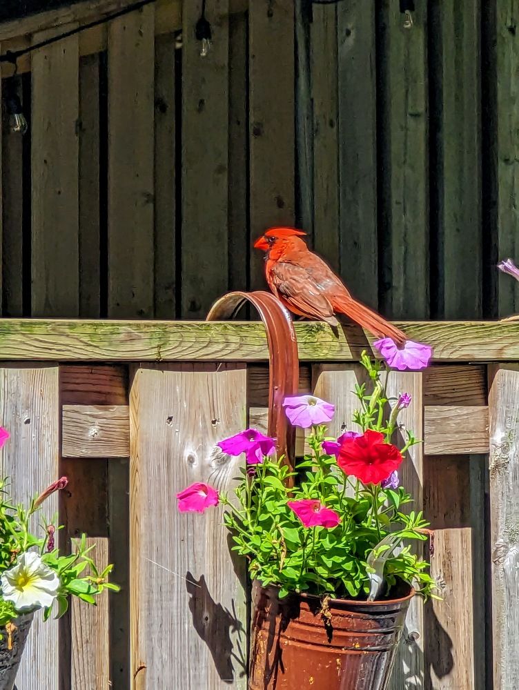 Photograph by Shaila Mahbub