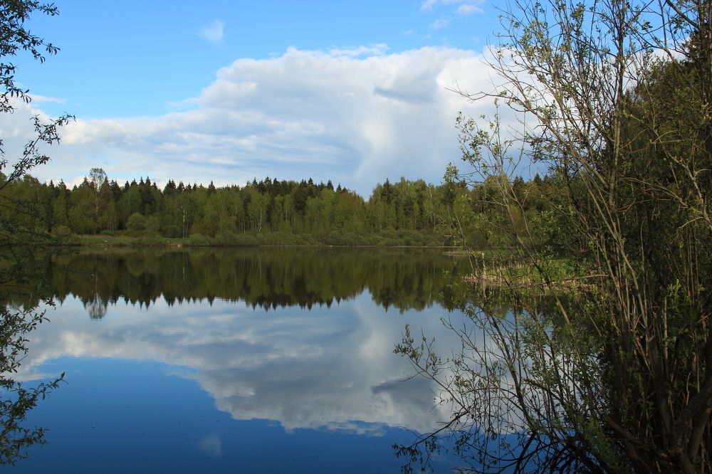 Photograph by Александра Пушнова