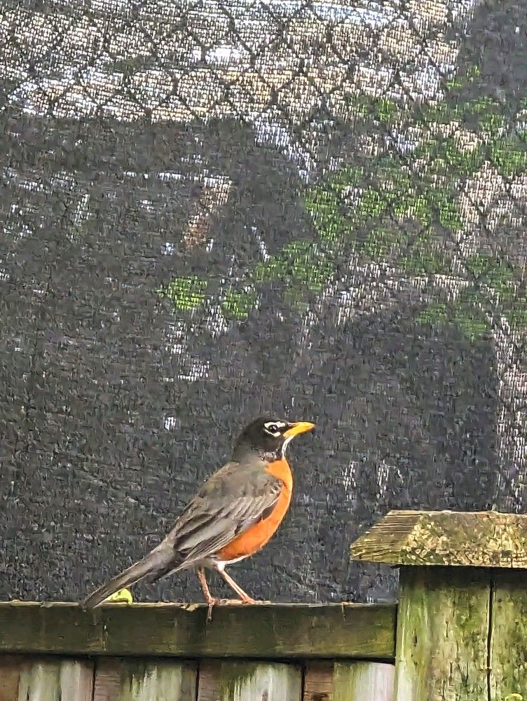 Photograph by Shaila Mahbub