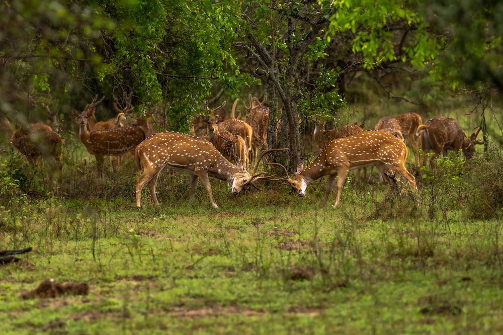 Photograph by Fadi Taher