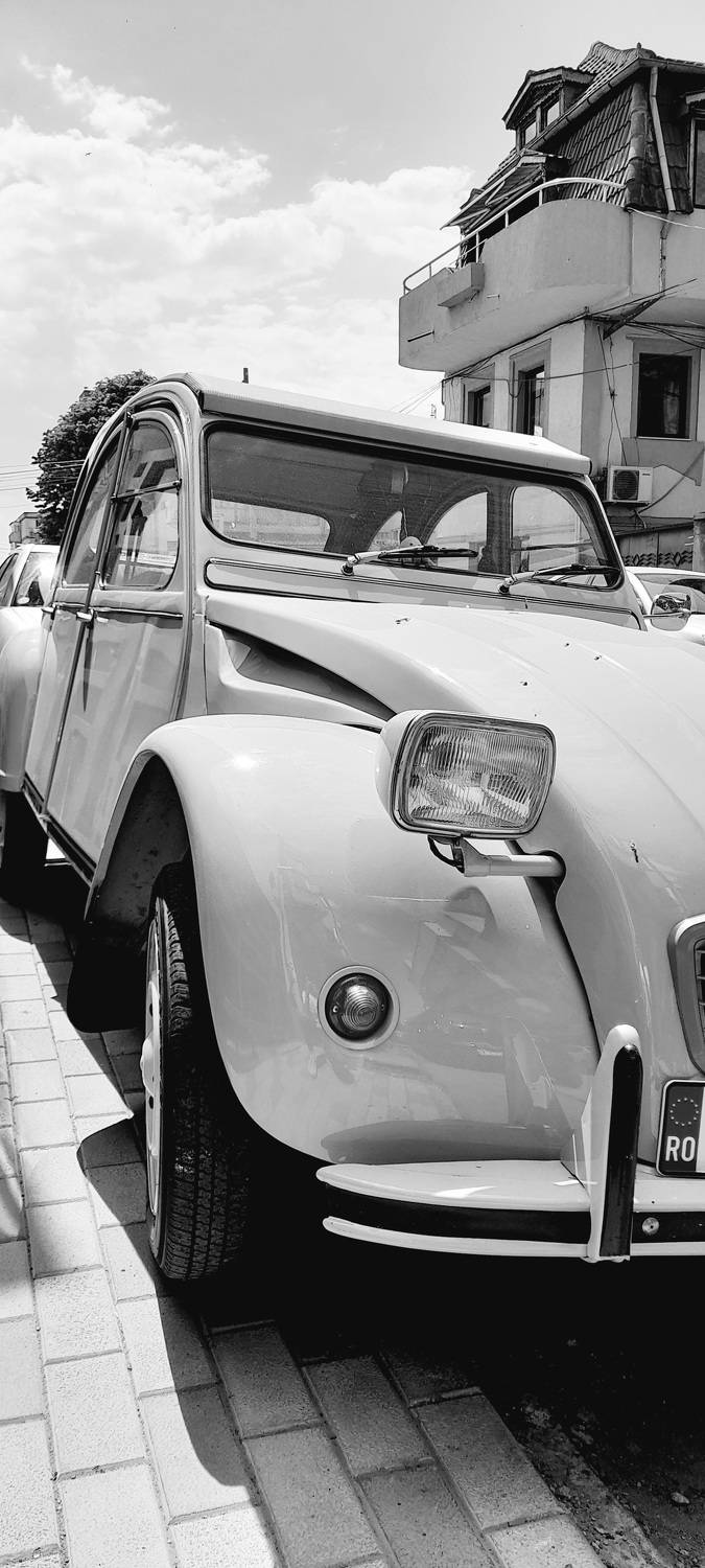 Photo #10770106
