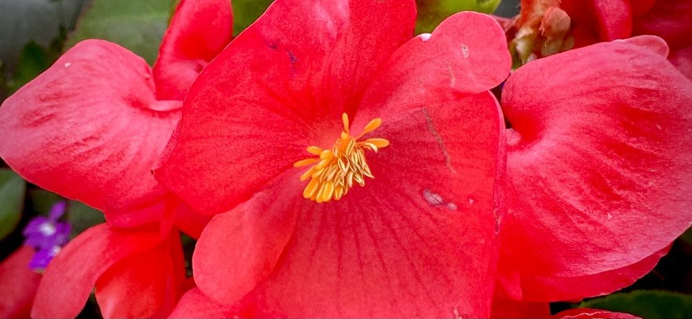 Photograph by Javier Subiza Garrido-Lestache