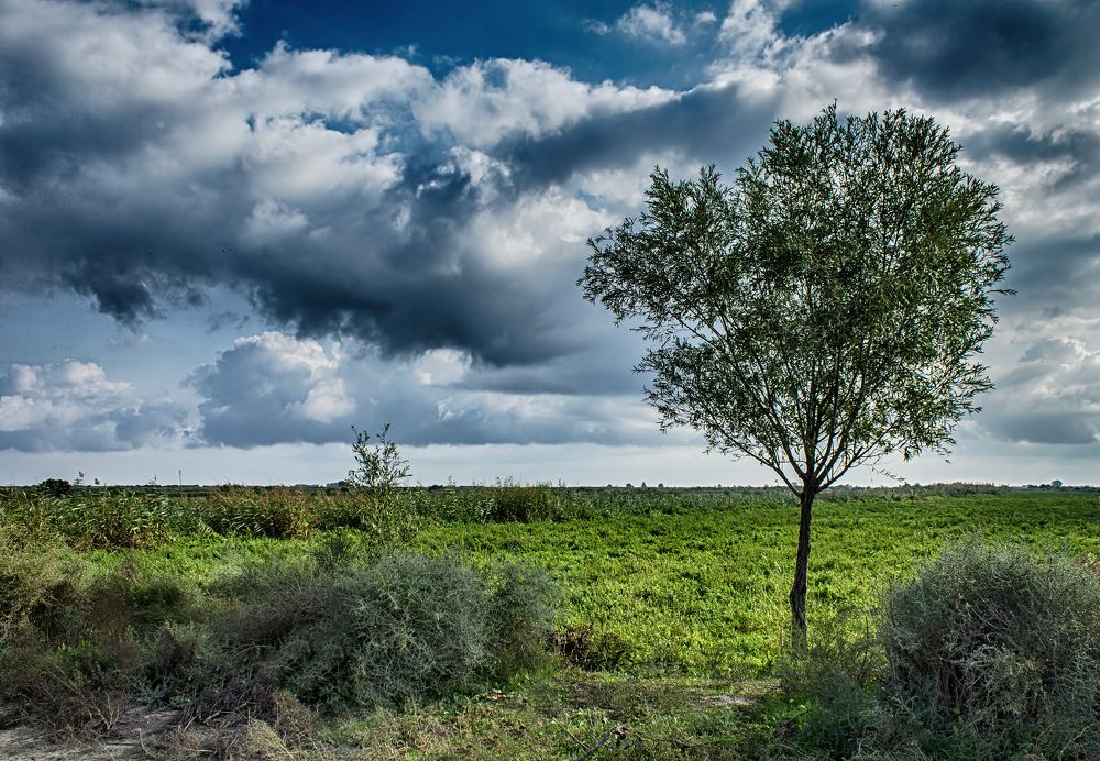 Фотография автора Emil Shahinoglu