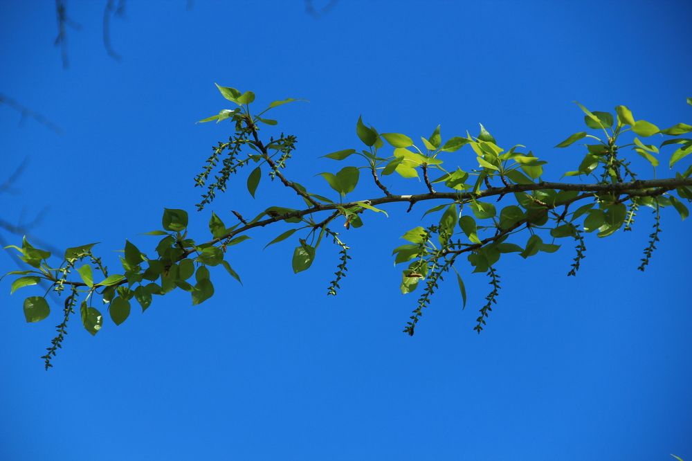 Photograph by Александра Пушнова