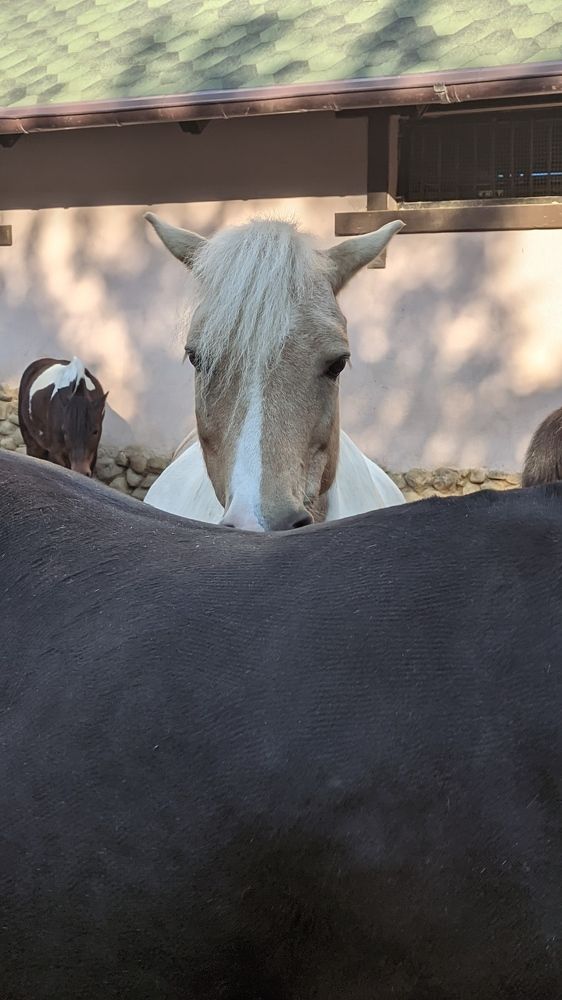 Фотография автора Васильева Ирина
