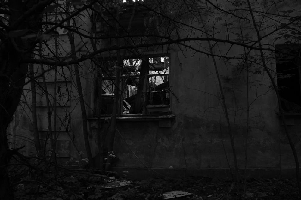 Photograph by Александра Пушнова