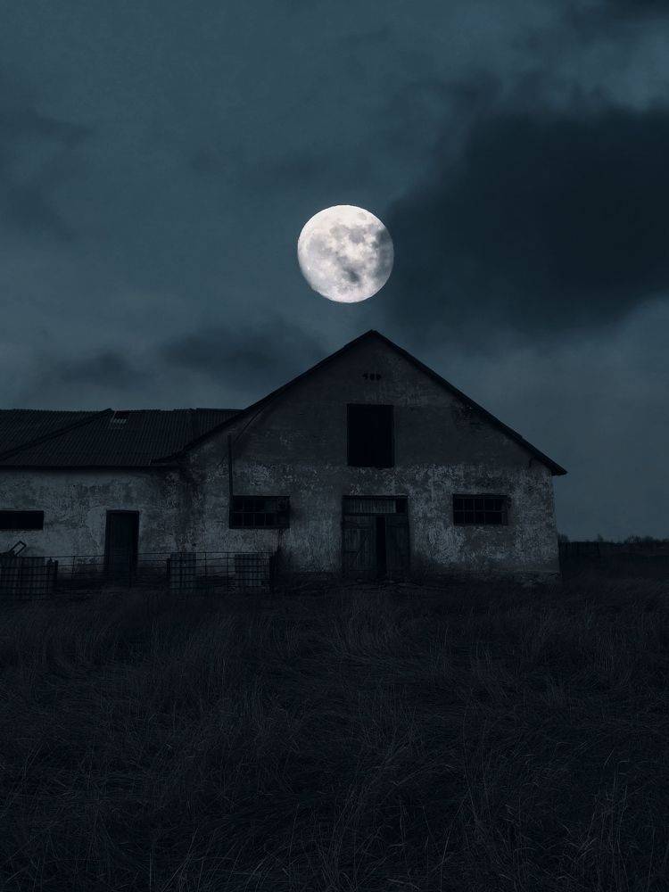 Фотография автора Наталья Алексеева