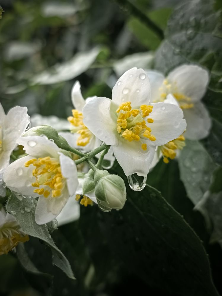 Photograph by Людмила