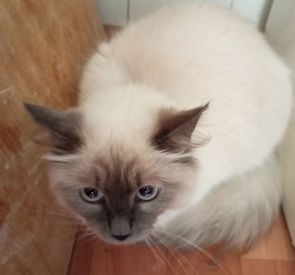 Photograph by Алсу Хусаинова