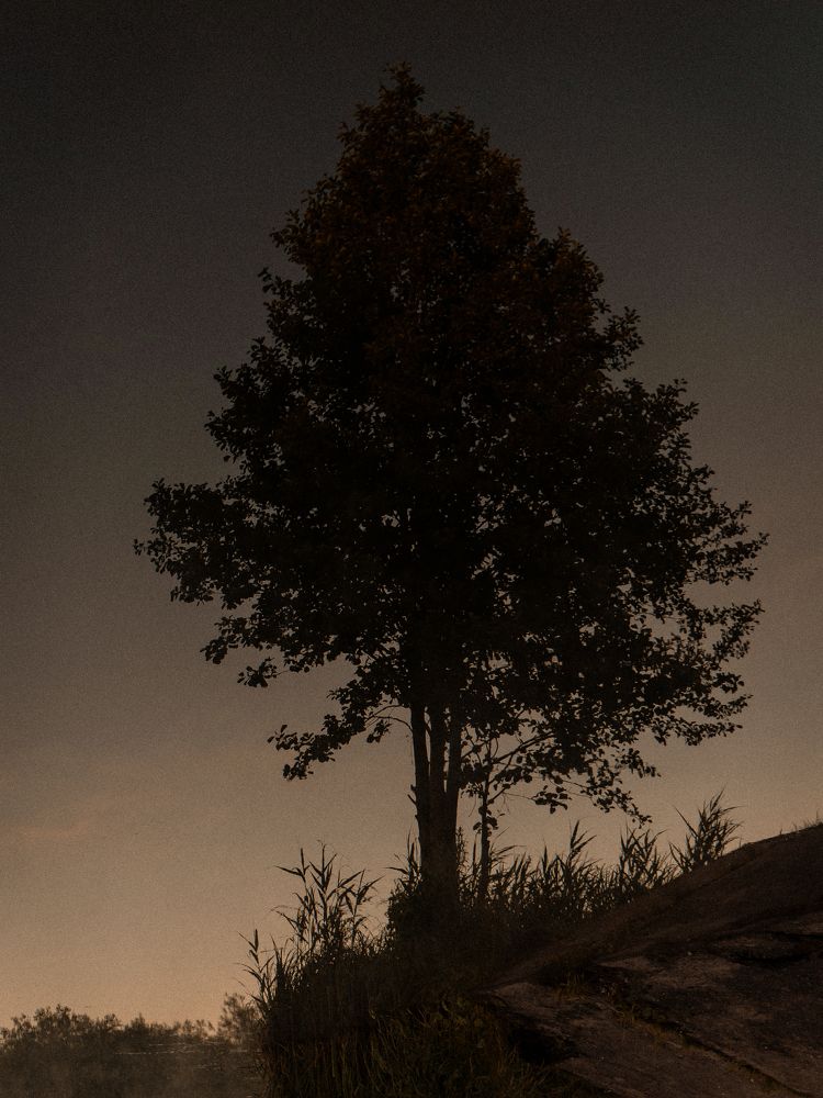 Photograph by Людмила