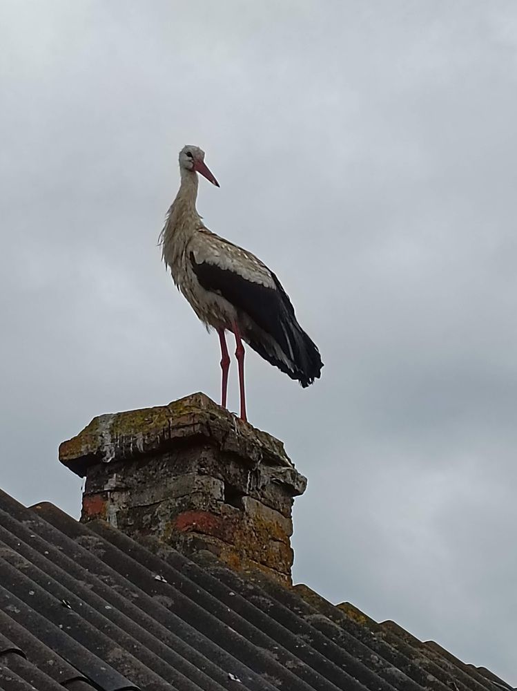 Photograph by Татьяна