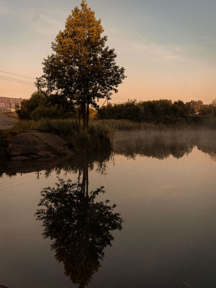 Photograph by Людмила