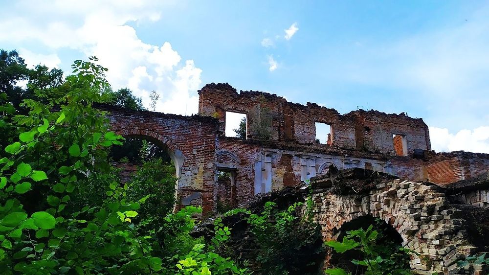 Photograph by Юлия Холомцева