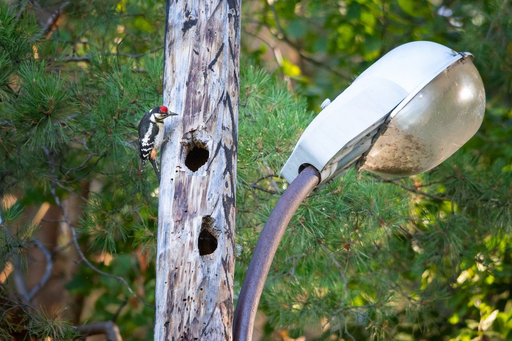 Photograph by Чудинин Дмитрий