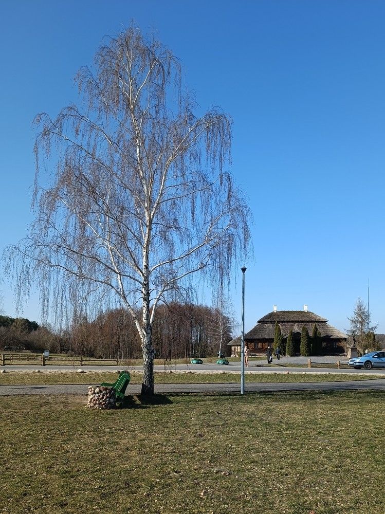 Photograph by Татьяна