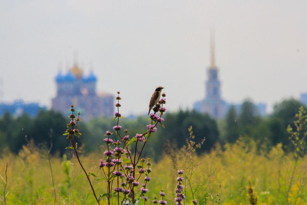 Photograph by Чудинин Дмитрий