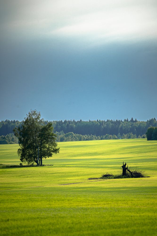 Photograph by PYATNITSKIY ANDREY