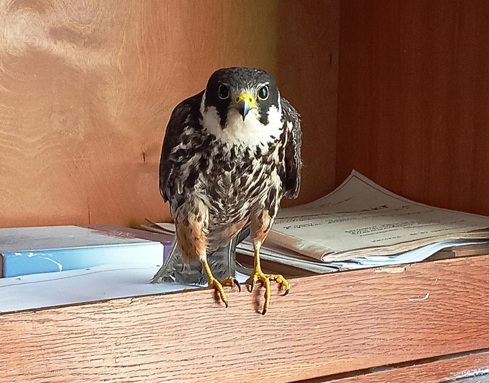 Photograph by Володимир Федишин