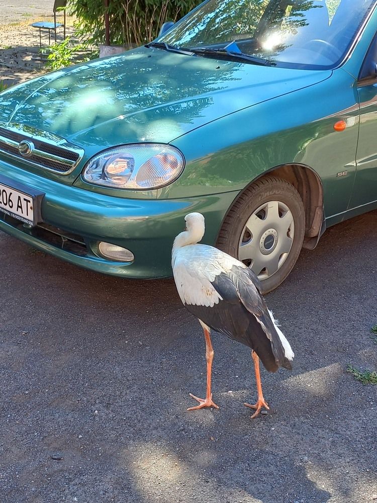 Photograph by Володимир Федишин