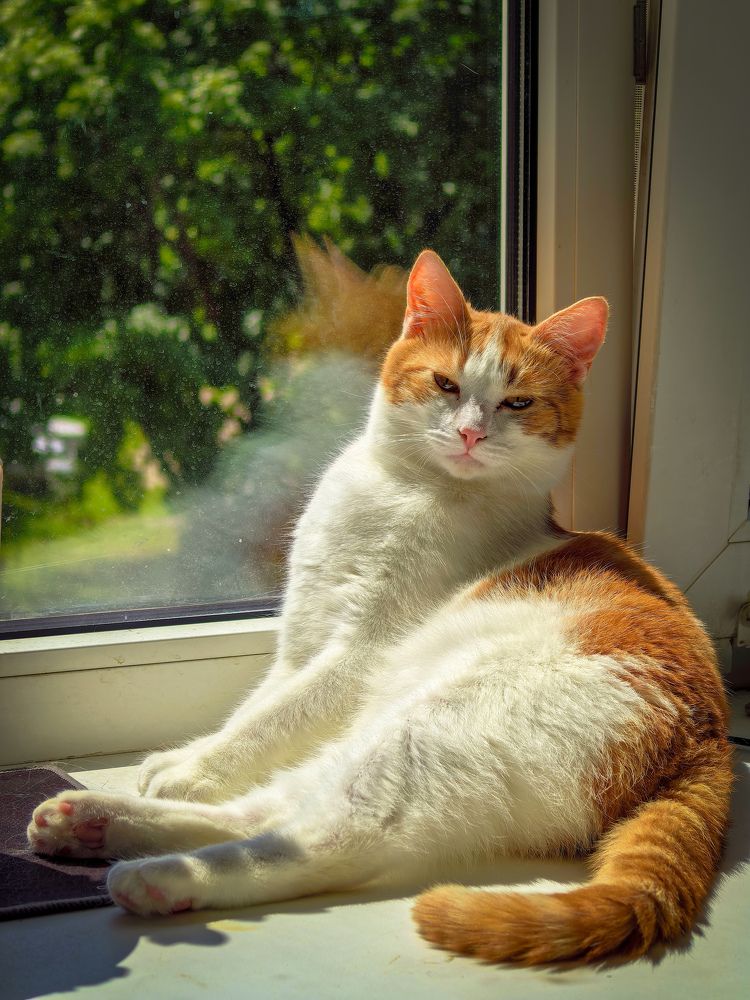 Photograph by Kate Maximenko