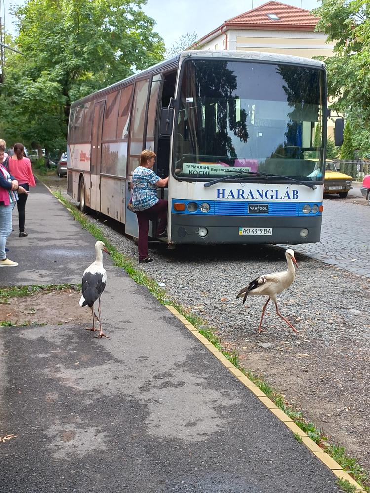 Photograph by Володимир Федишин