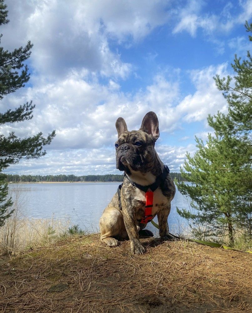 Photograph by Анна Панеева