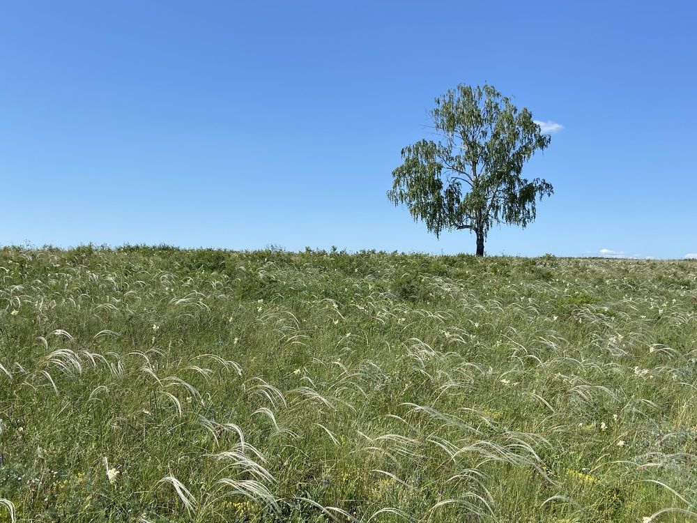 Photograph by Julia Grischenko