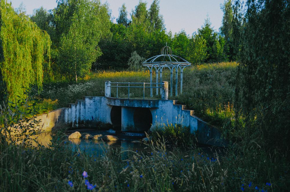 Photograph by Сафонцев Георгий