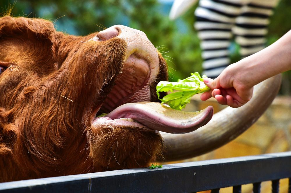 Фотография автора Мария