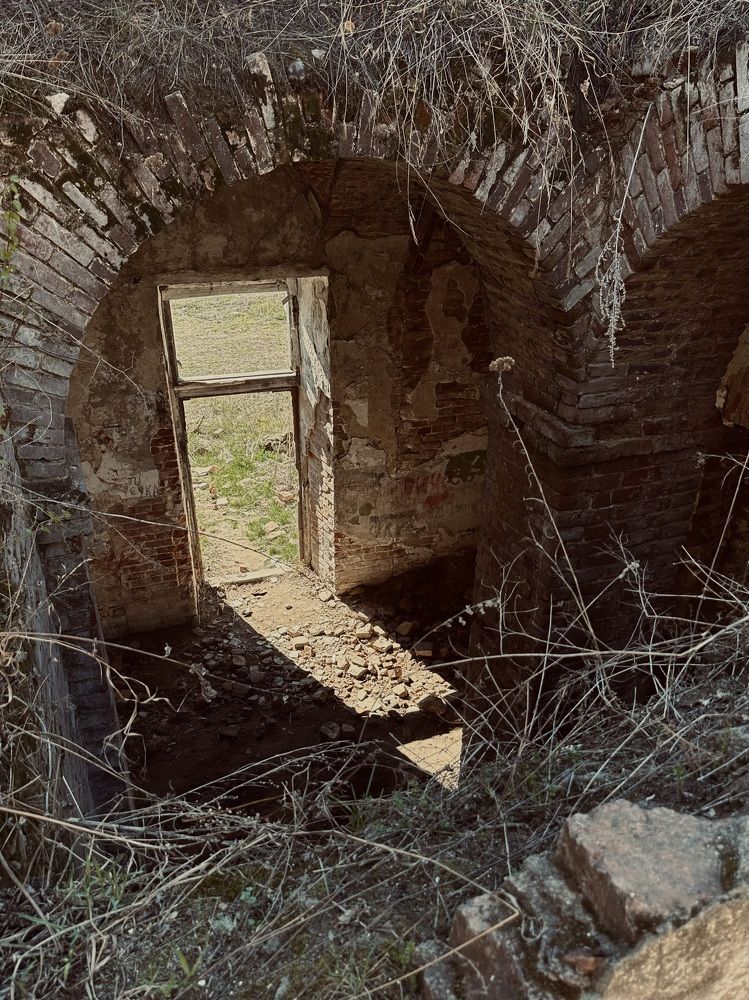 Photograph by Гульнара Шаньгина