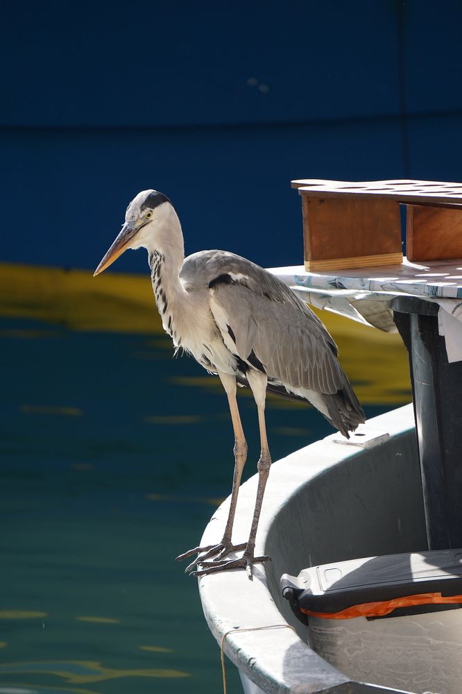 Photograph by Игорь Семеновский