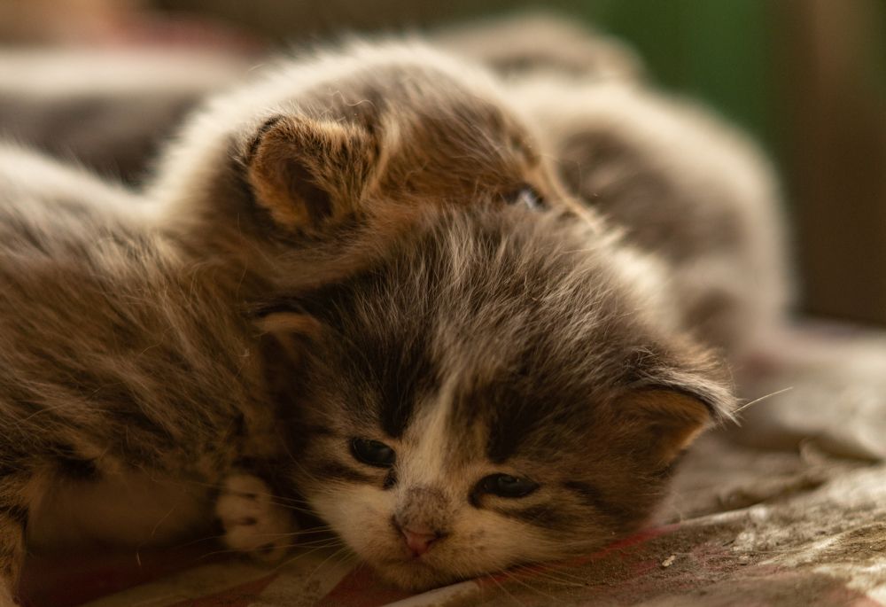 Photograph by Фетисова Анна