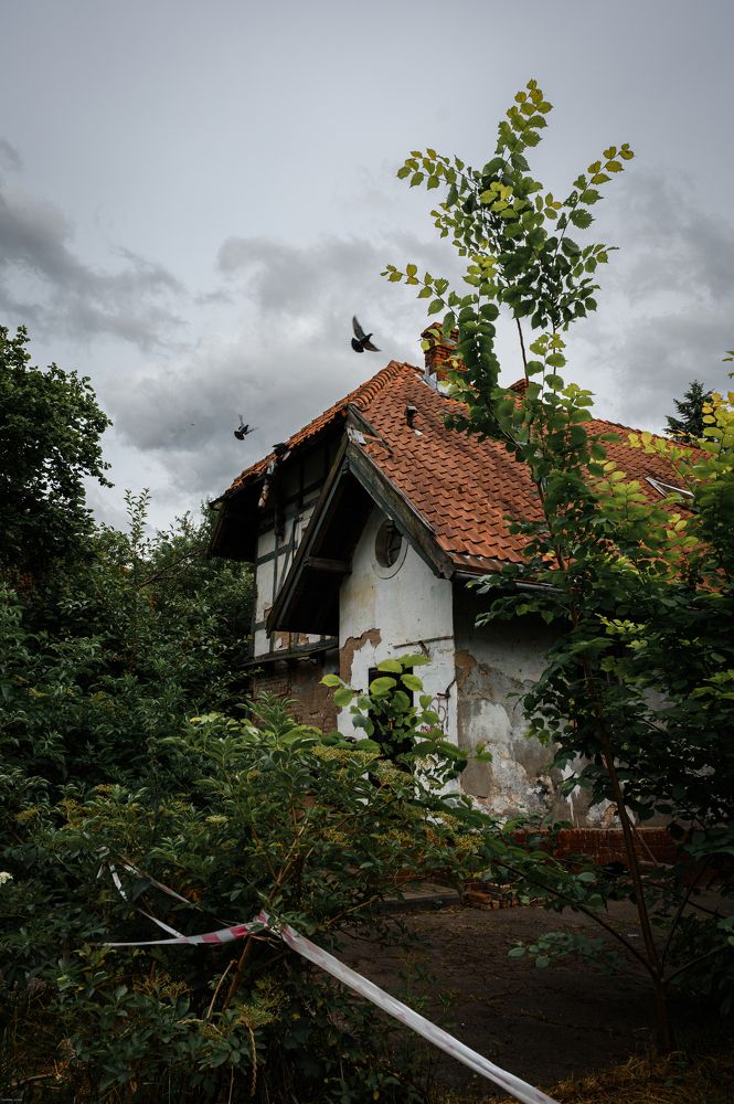 Photograph by Елена Аверина