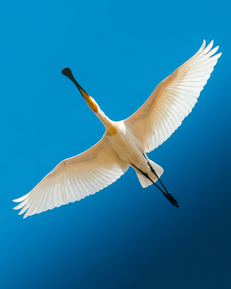 Photograph by Филипп Циплёнков