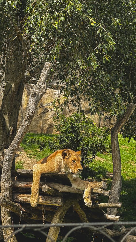 Photograph by Юлия