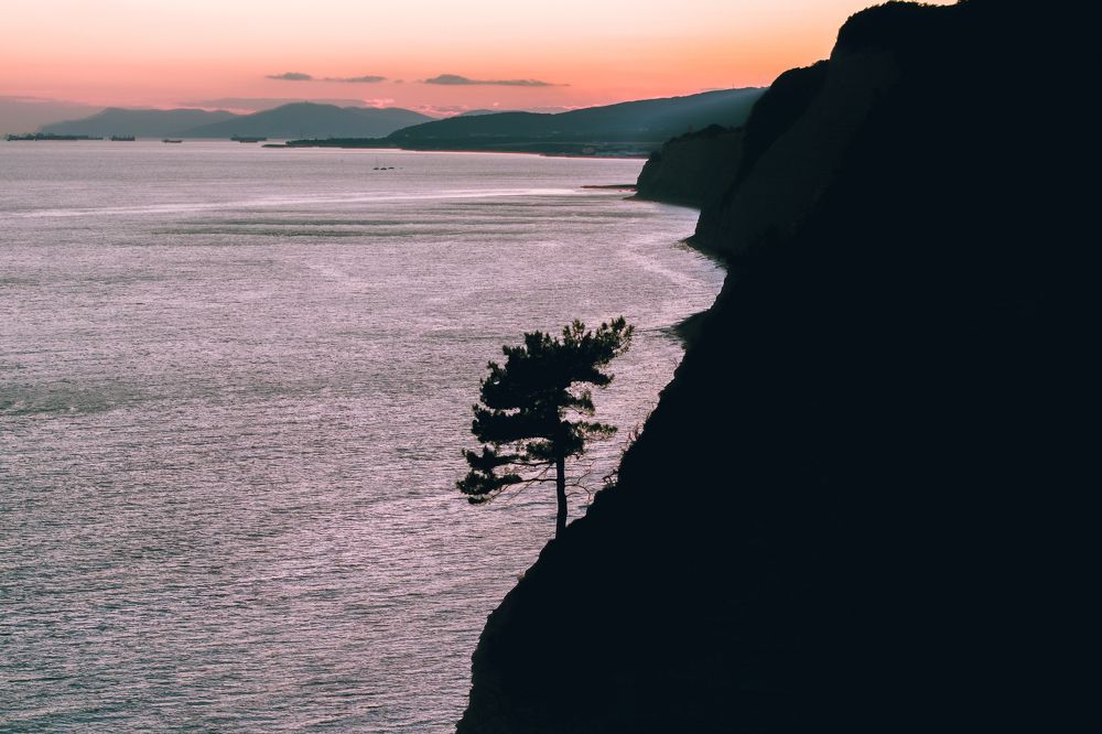 Photograph by Farid Isakov