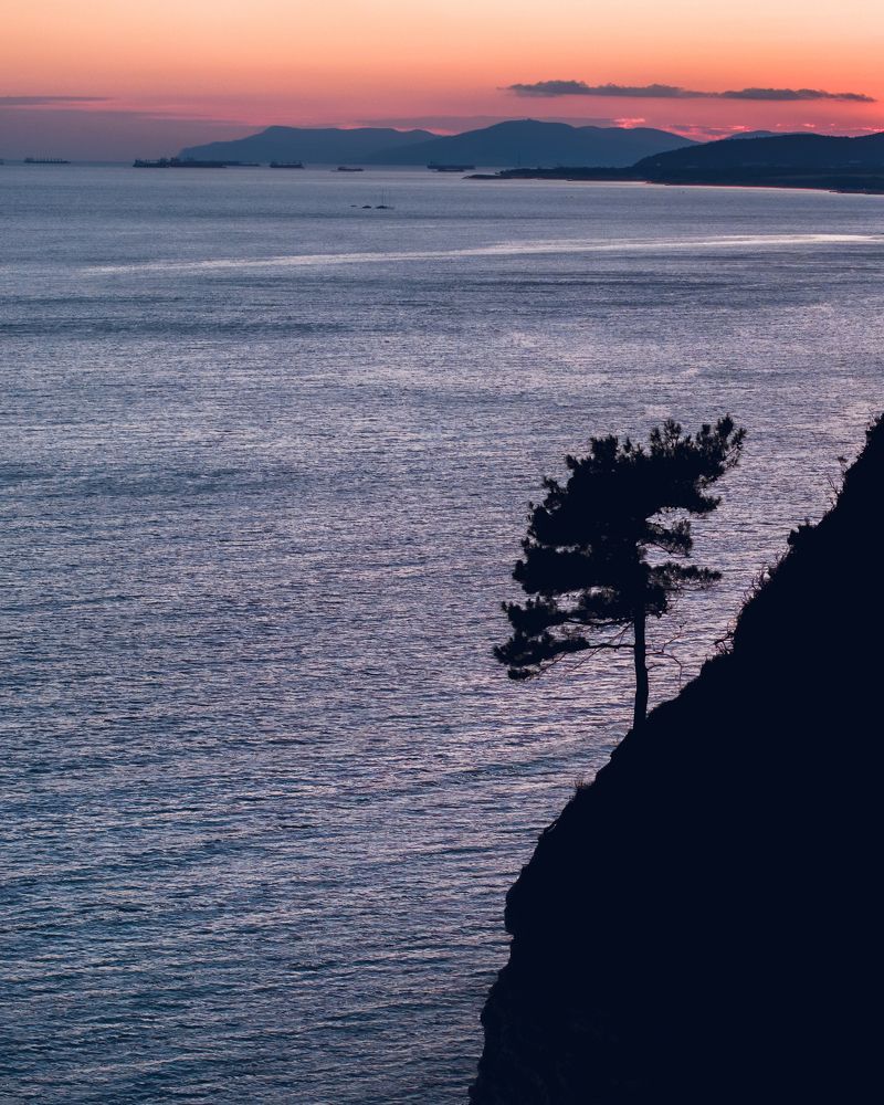 Photograph by Farid Isakov